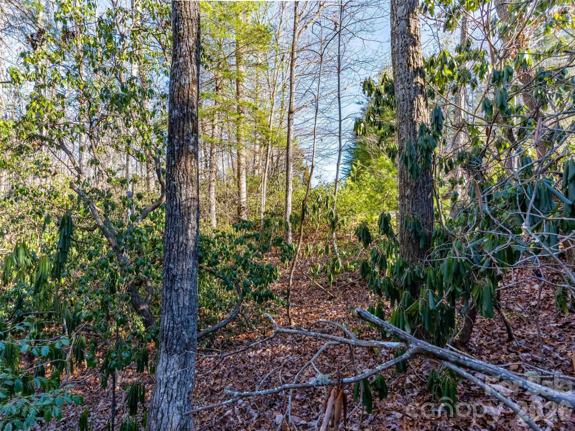 000 Chattooga Run #306 - Photo 27