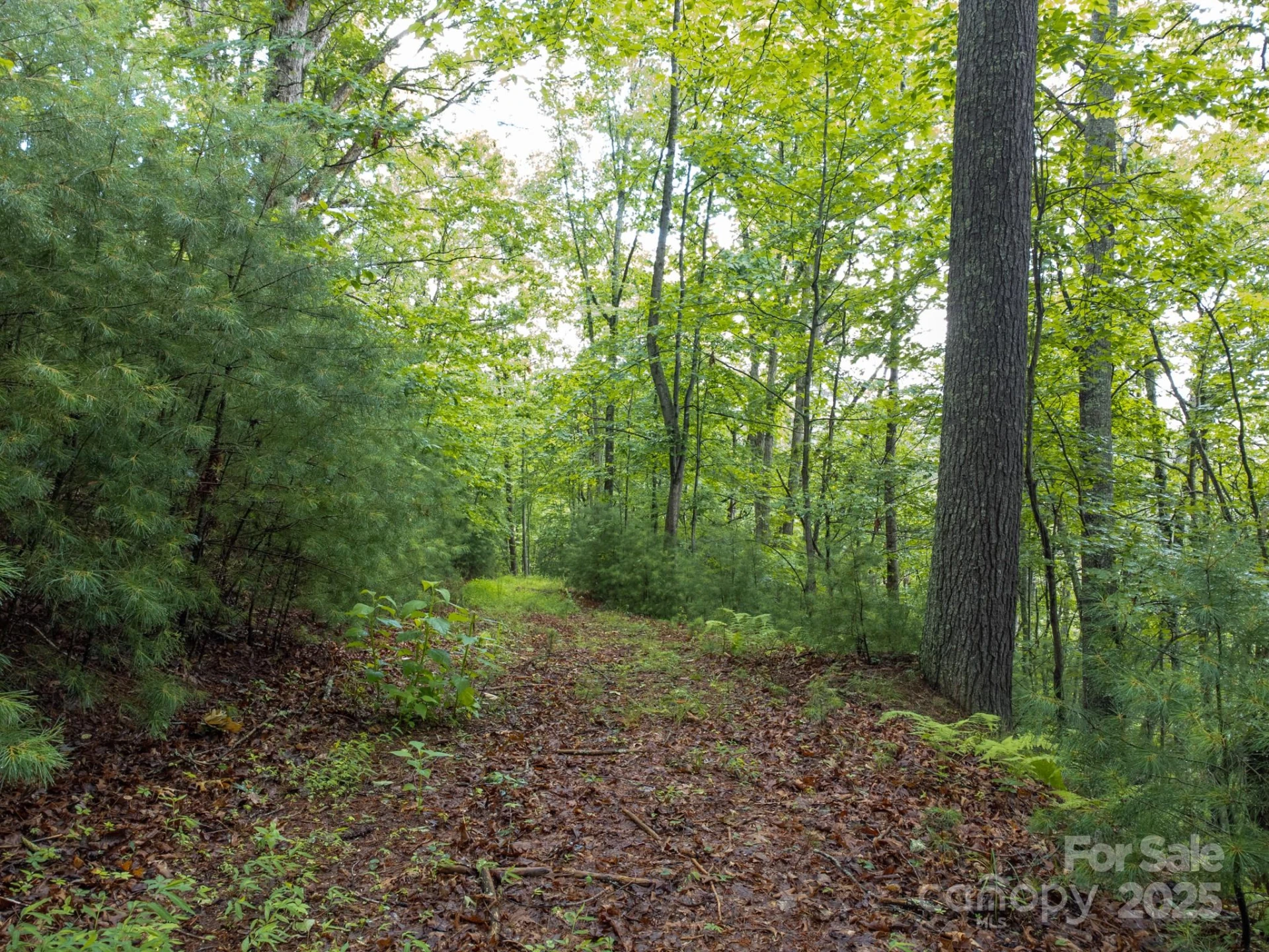 691 Sandy Bottom Road - Photo 23