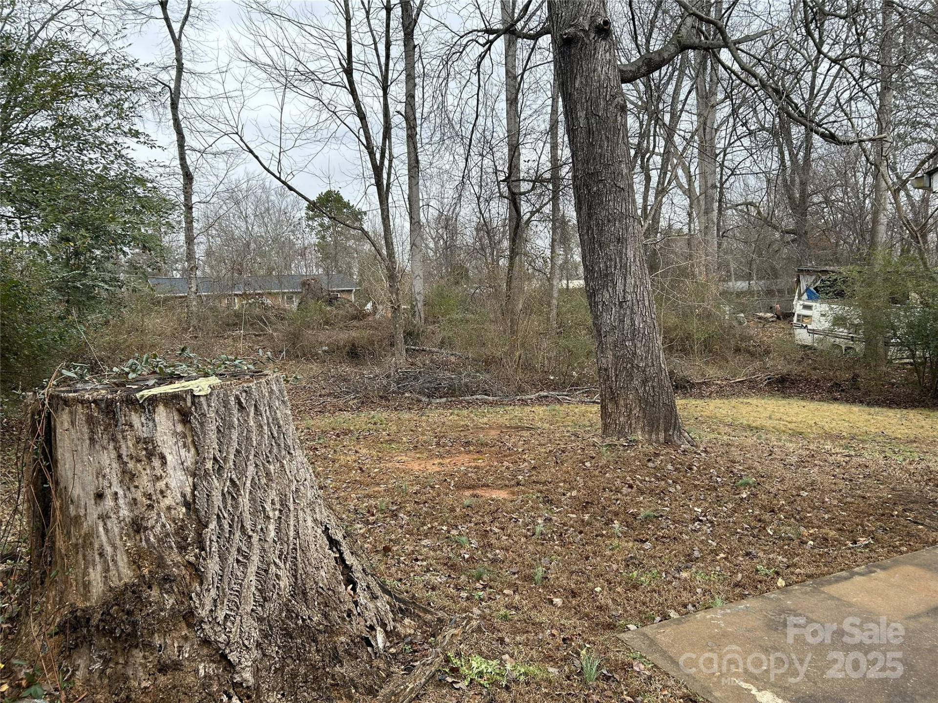 259 Seitz Drive - Photo 20