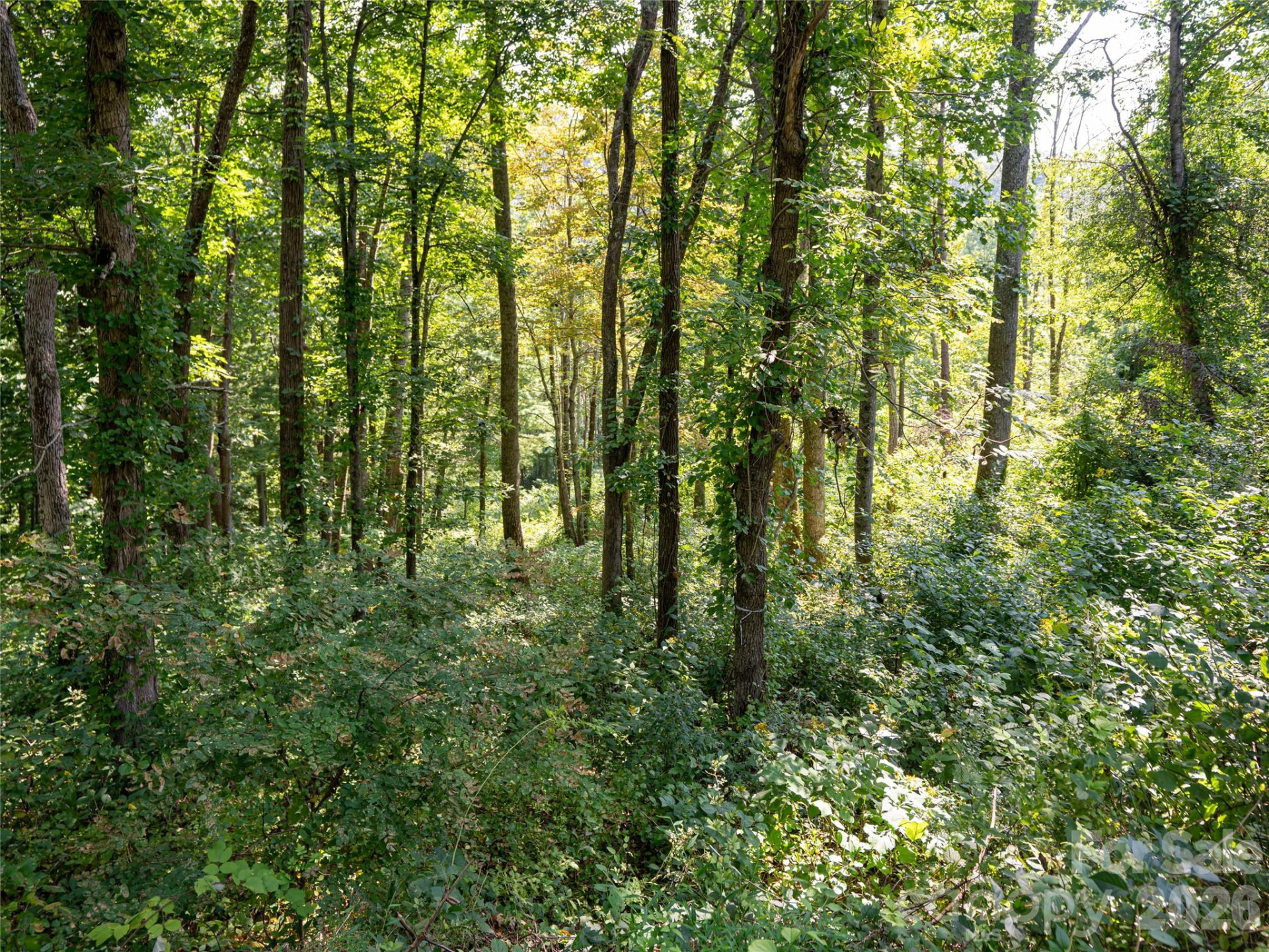 19 Keeping Kyle Crossing - Photo 2