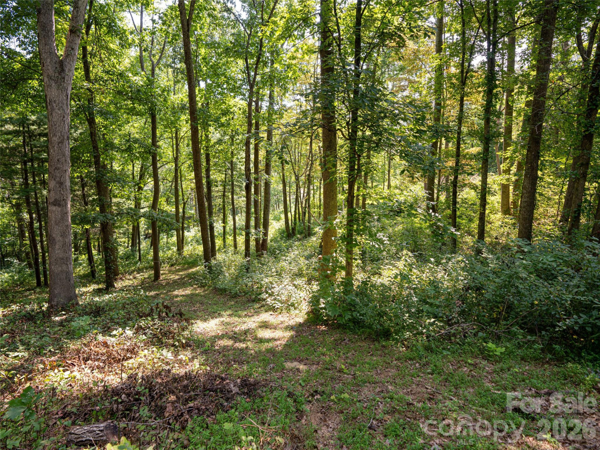 19 Keeping Kyle Crossing - Photo 11