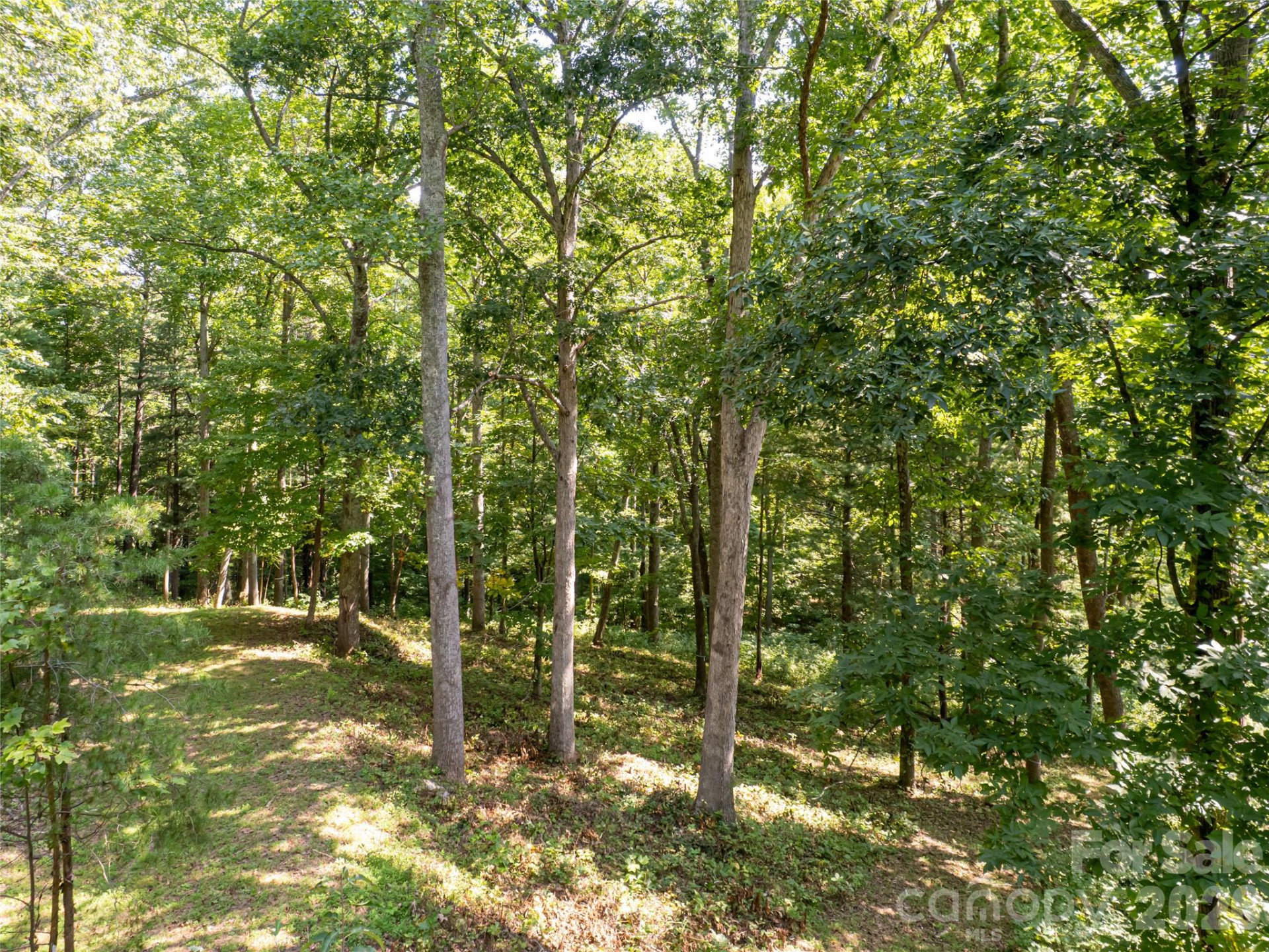 19 Keeping Kyle Crossing - Photo 14