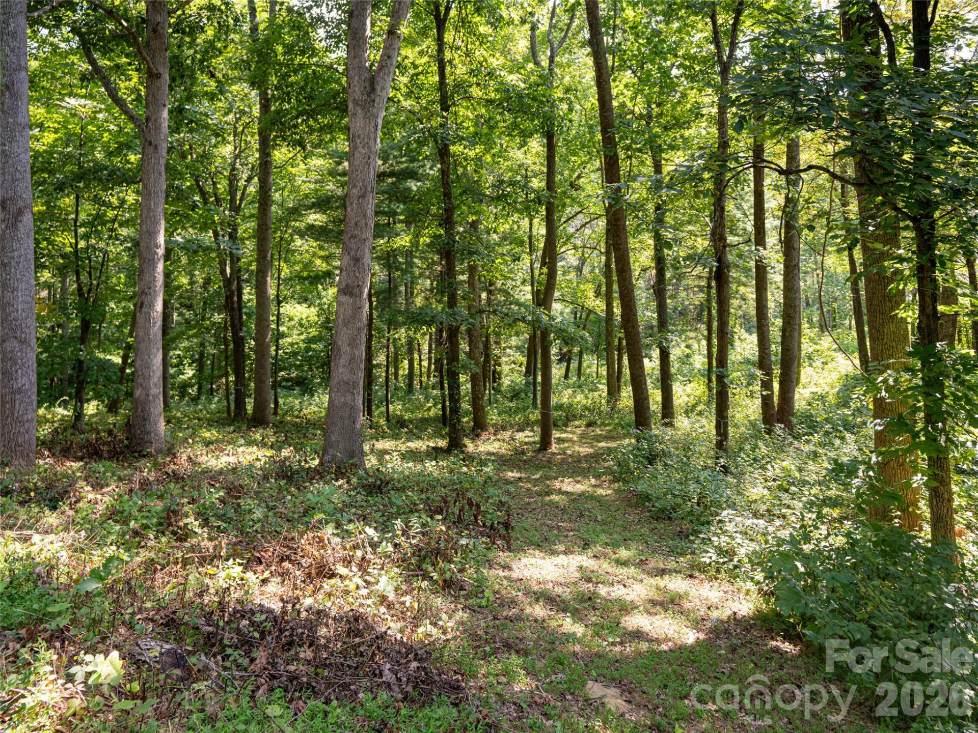 19 Keeping Kyle Crossing - Photo 3