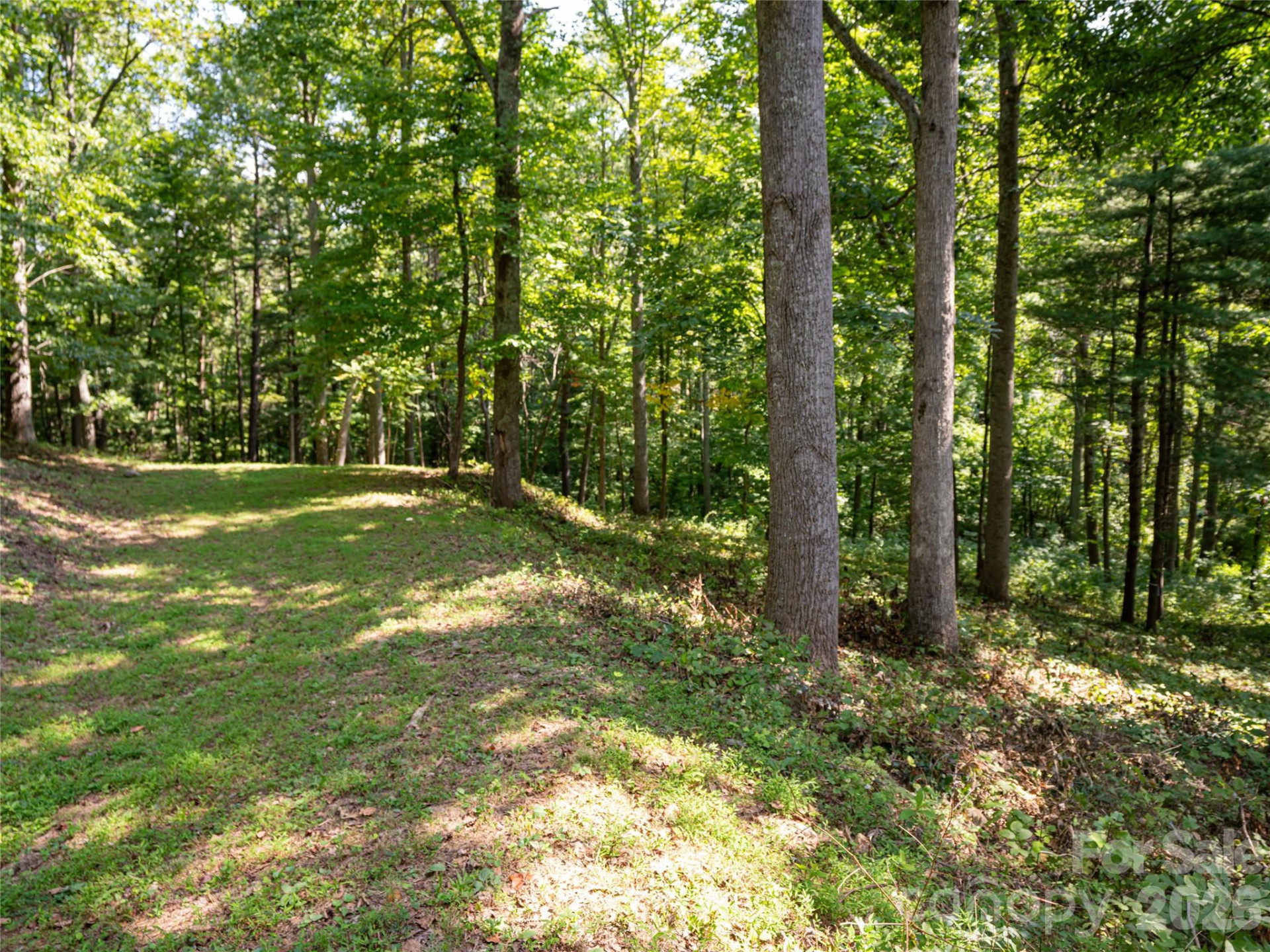 19 Keeping Kyle Crossing - Photo 4