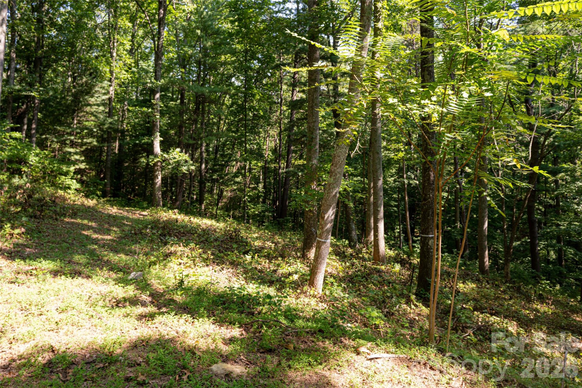 19 Keeping Kyle Crossing - Photo 5