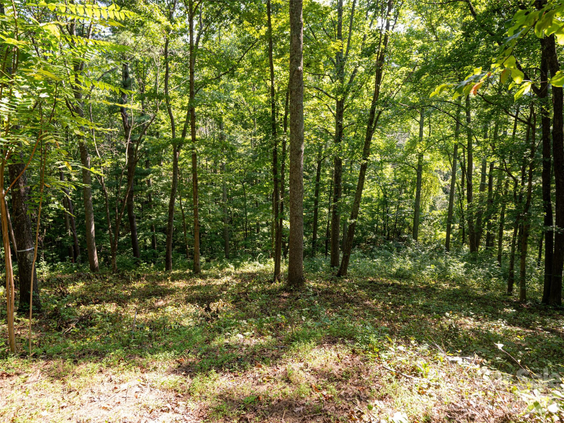 19 Keeping Kyle Crossing - Photo 6