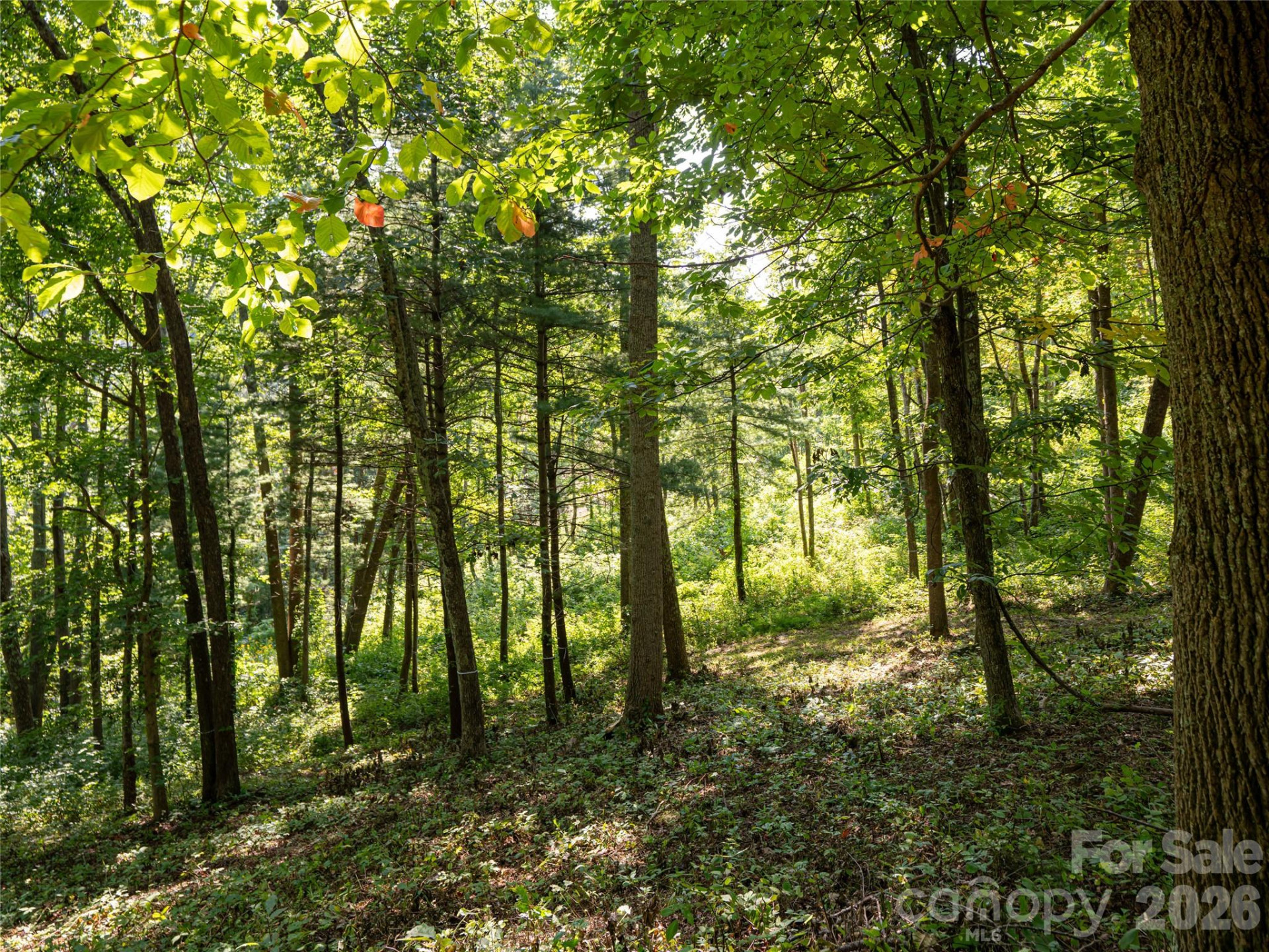 19 Keeping Kyle Crossing - Photo 8