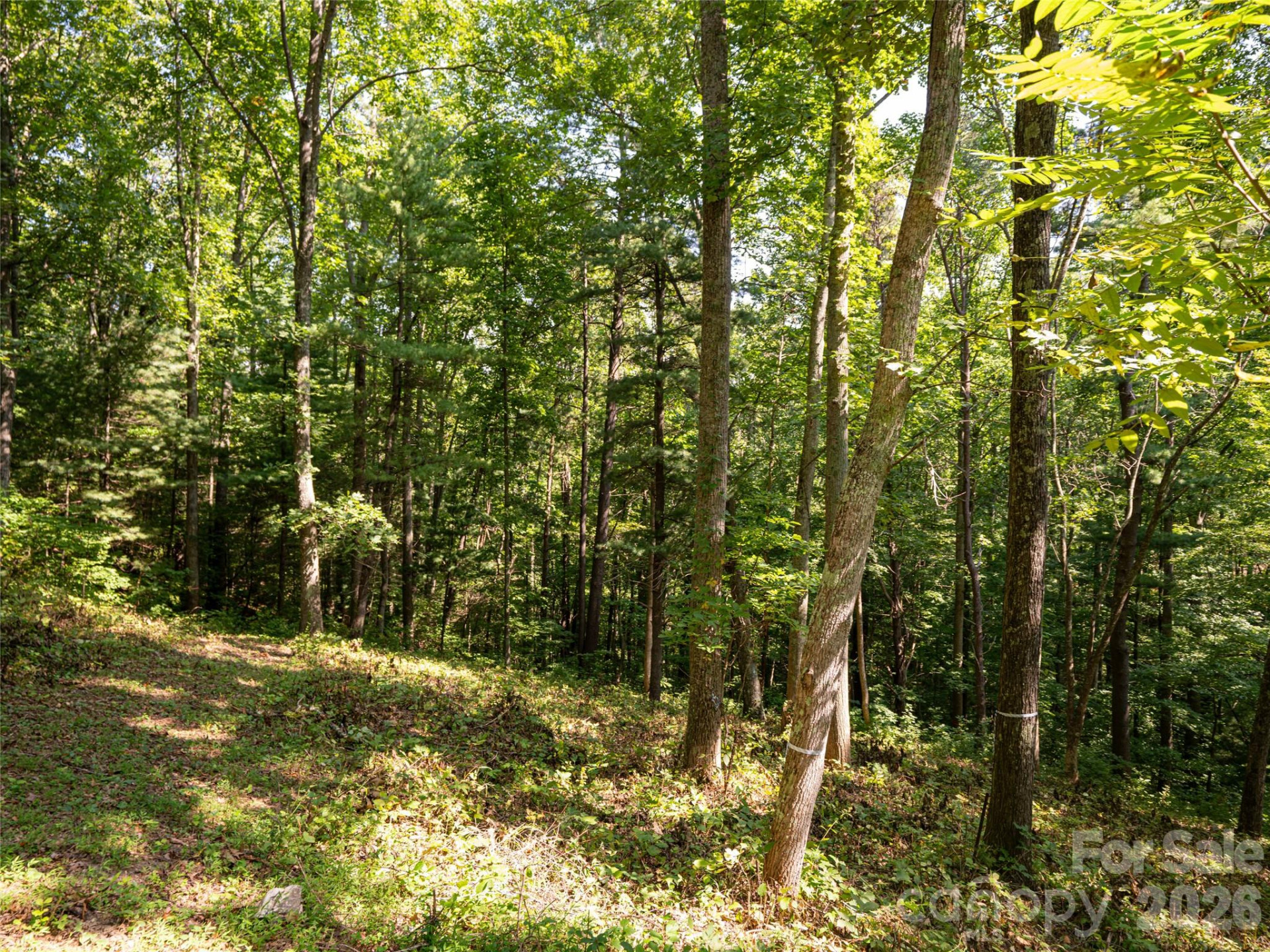 19 Keeping Kyle Crossing - Photo 9