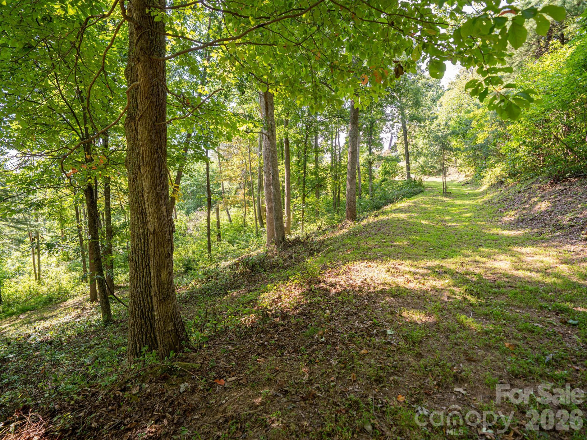 19 Keeping Kyle Crossing - Photo 10