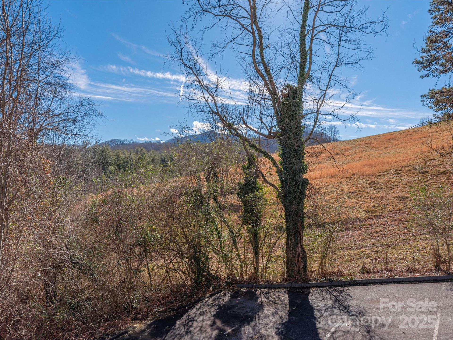 53 Vancott Court - Photo 13