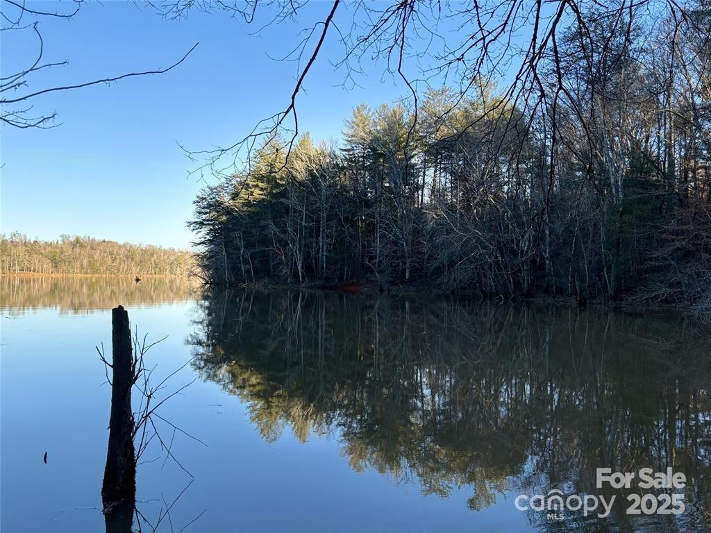 584 Settings Boulevard #267 - Photo 2