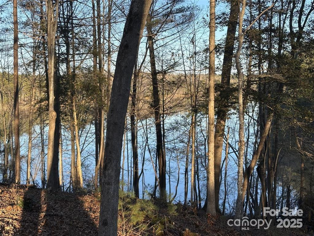 584 Settings Boulevard #267 - Photo 4