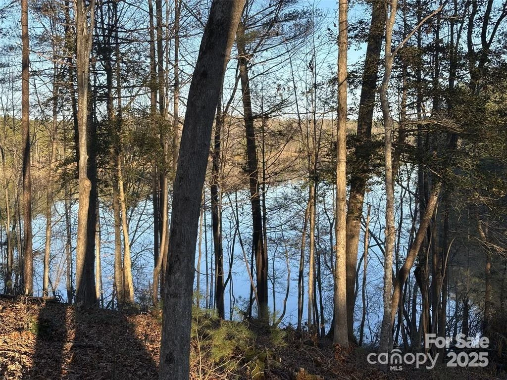 584 Settings Boulevard #267 - Photo 4