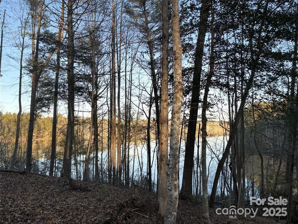 584 Settings Boulevard #267 - Photo 5