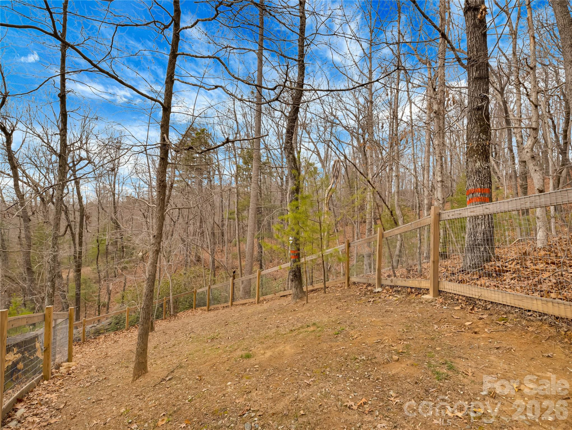 184 Deep Woods Lane - Photo 40