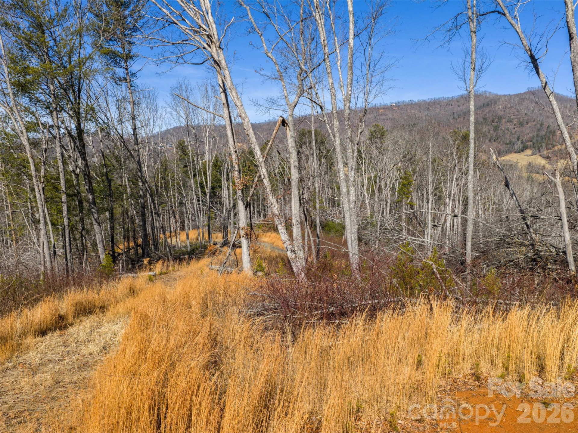 87 Old Stewart Road - Photo 8
