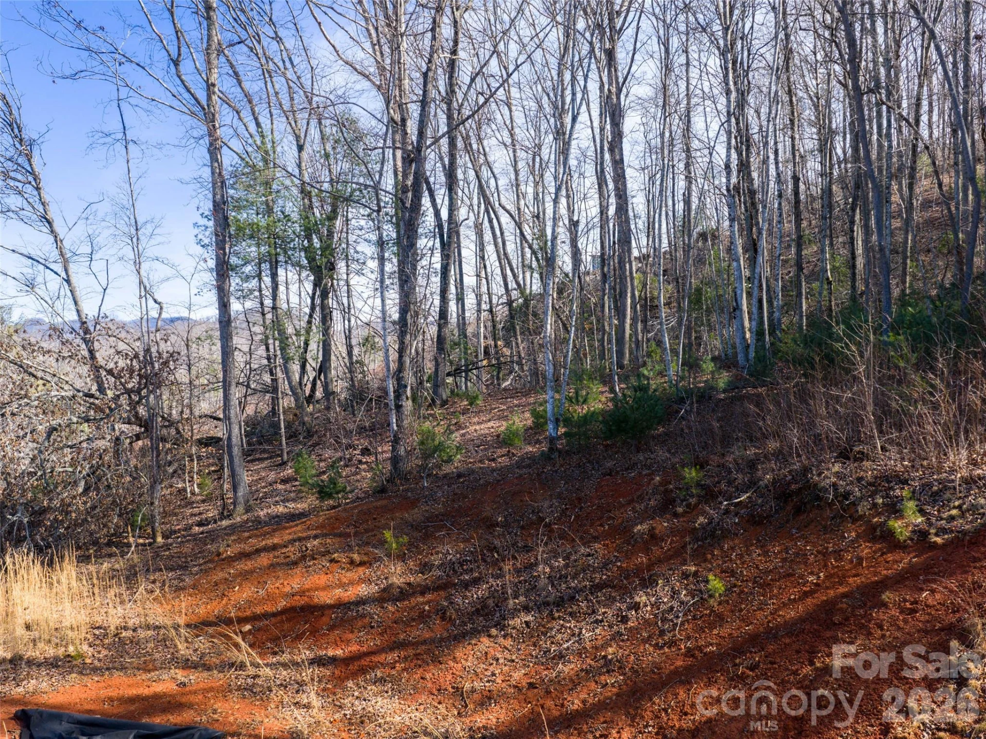 87 Old Stewart Road - Photo 9