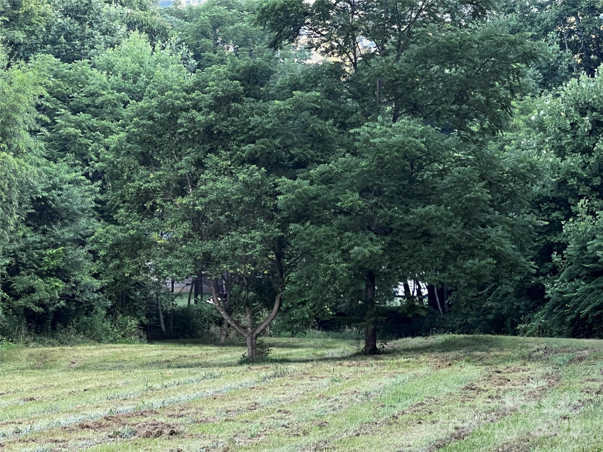 Lot 1 Turtle Rock Lane - Photo 2