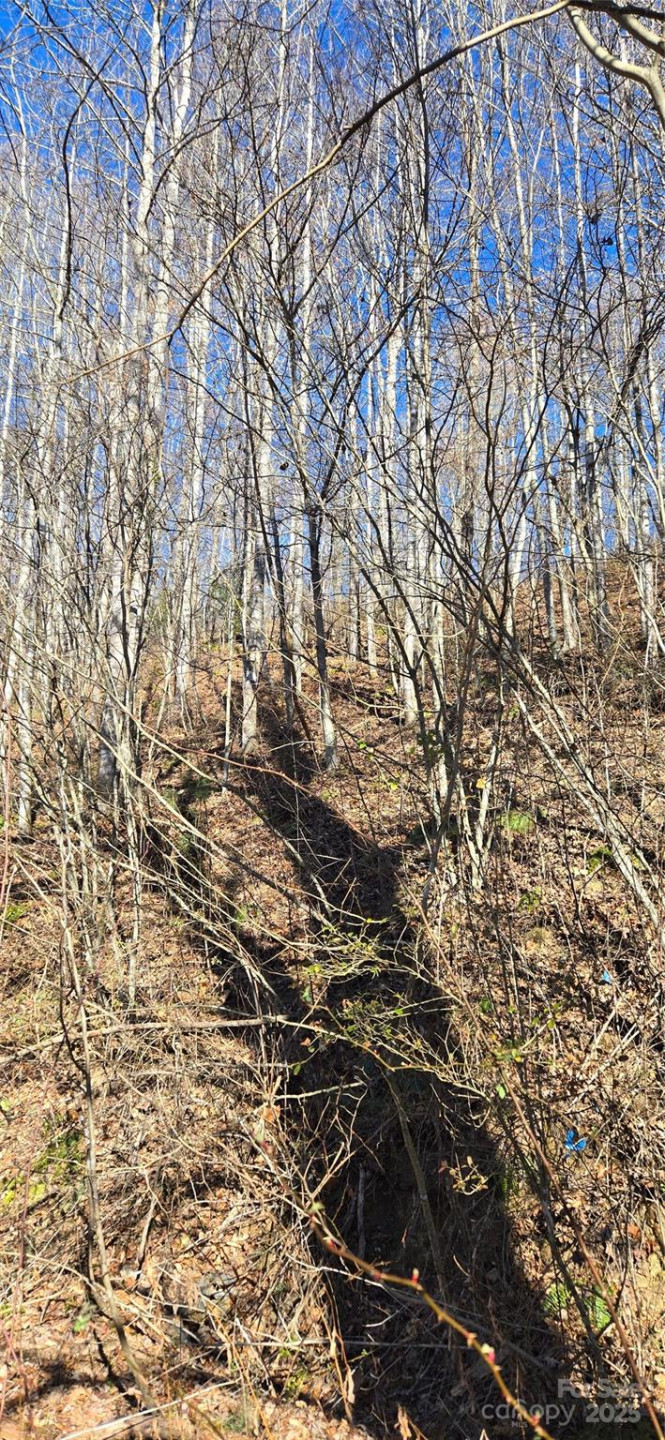 Lot 1 Turtle Rock Lane - Photo 12