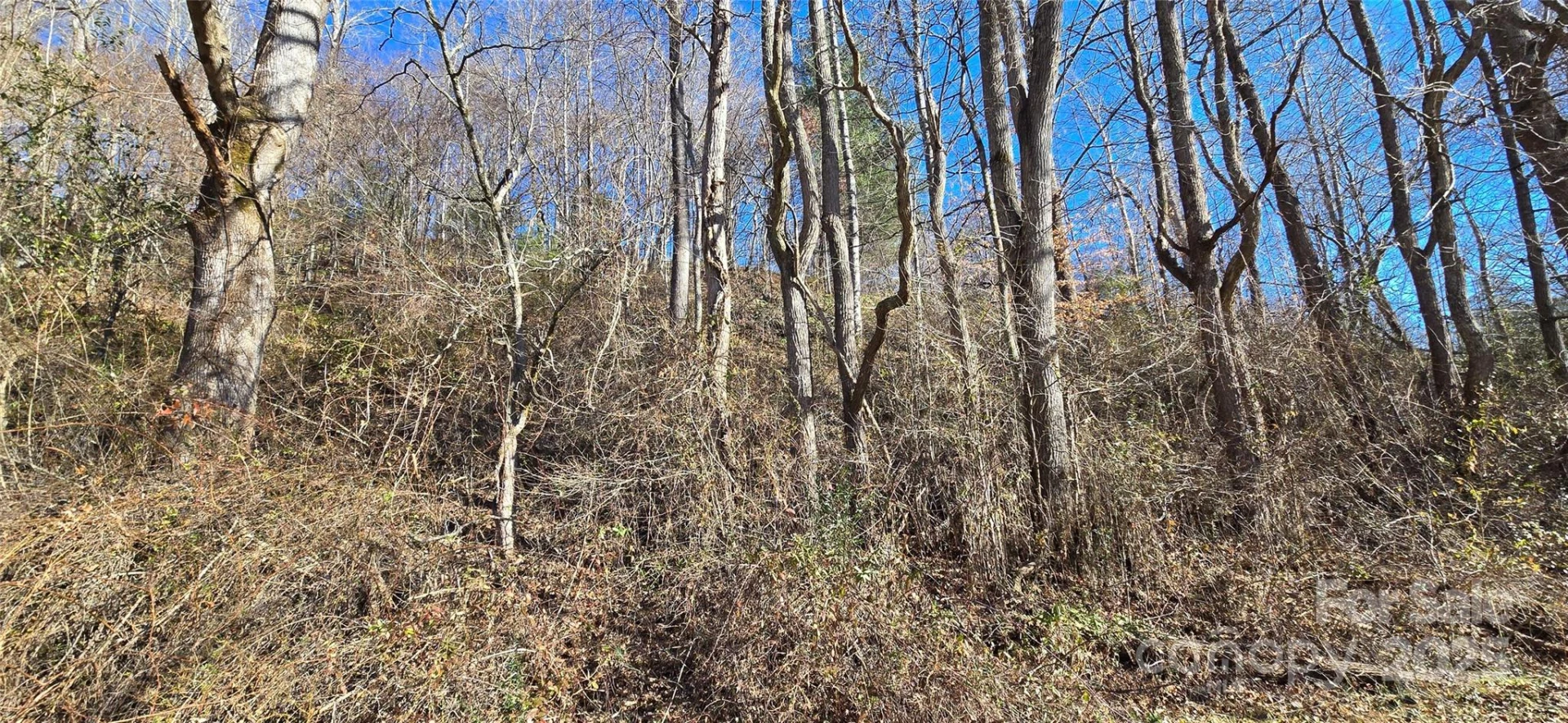 Lot 1 Turtle Rock Lane - Photo 16