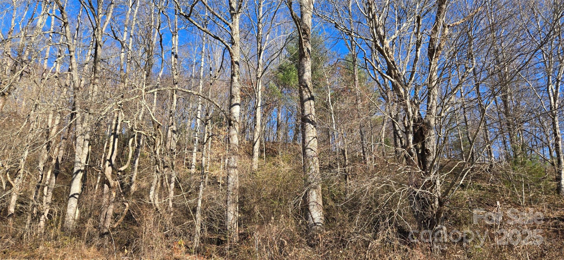 Lot 1 Turtle Rock Lane - Photo 18