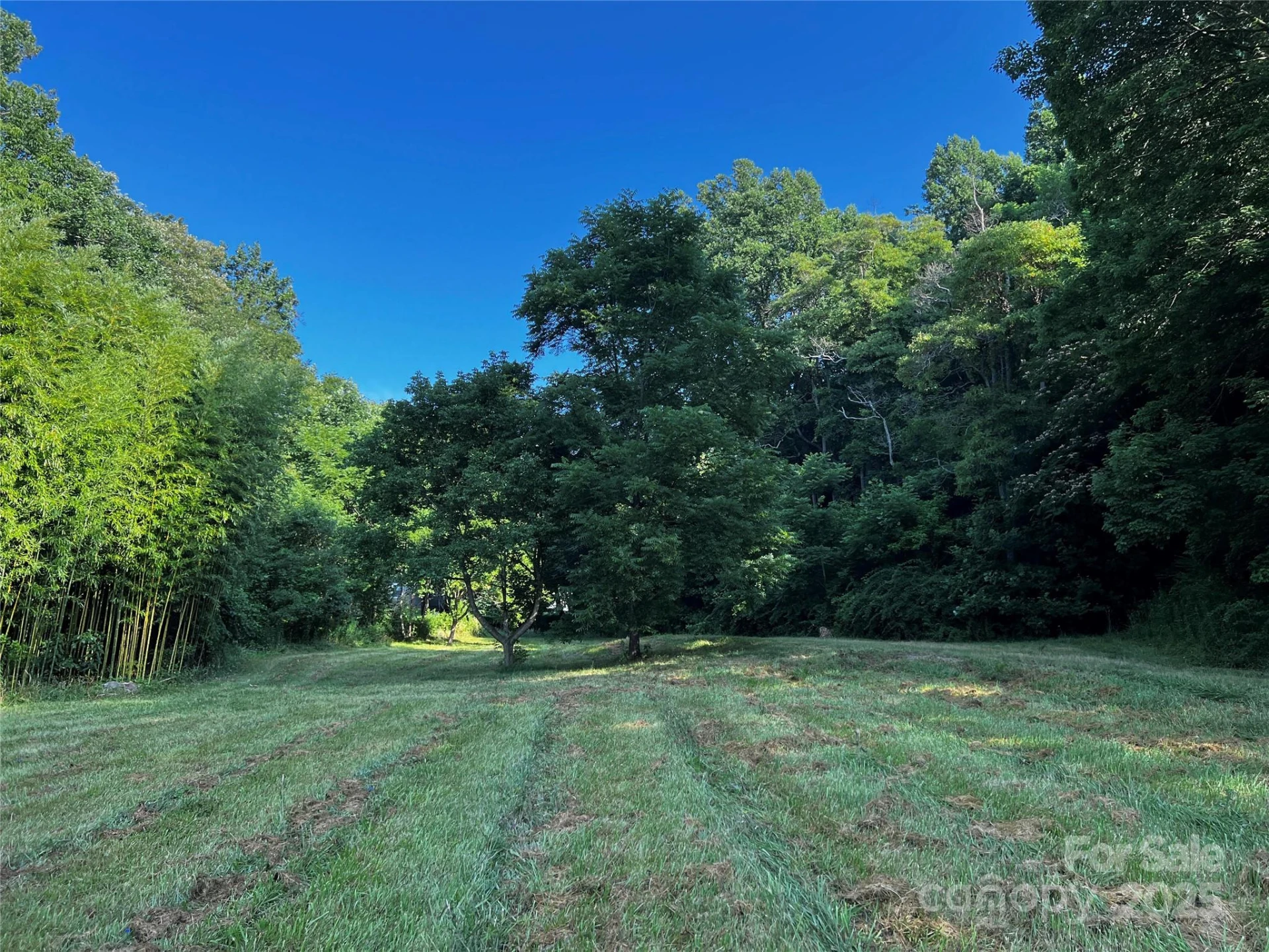 Lot 1 Turtle Rock Lane - Photo 3