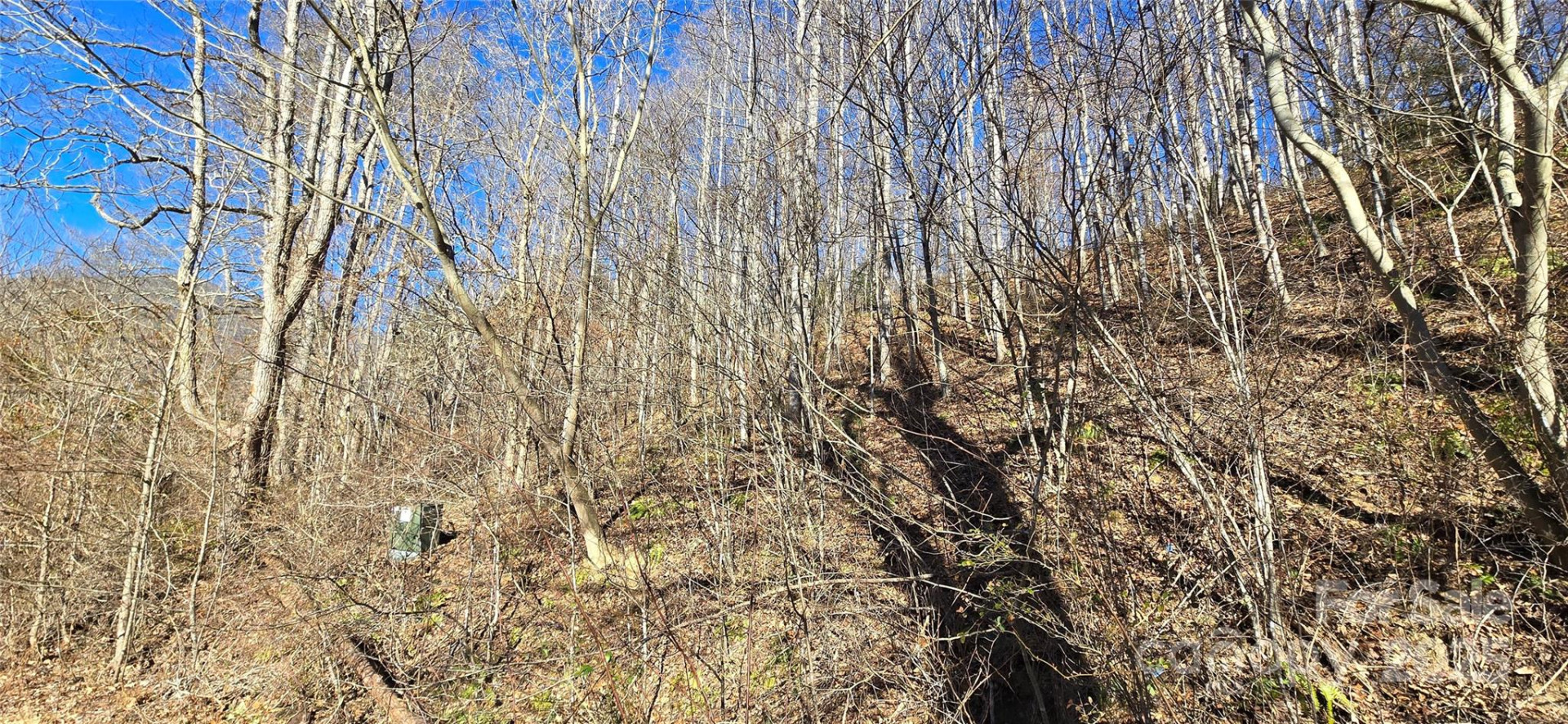 Lot 1 Turtle Rock Lane - Photo 27