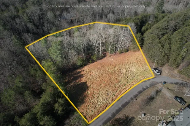 00 Virginia Ridge