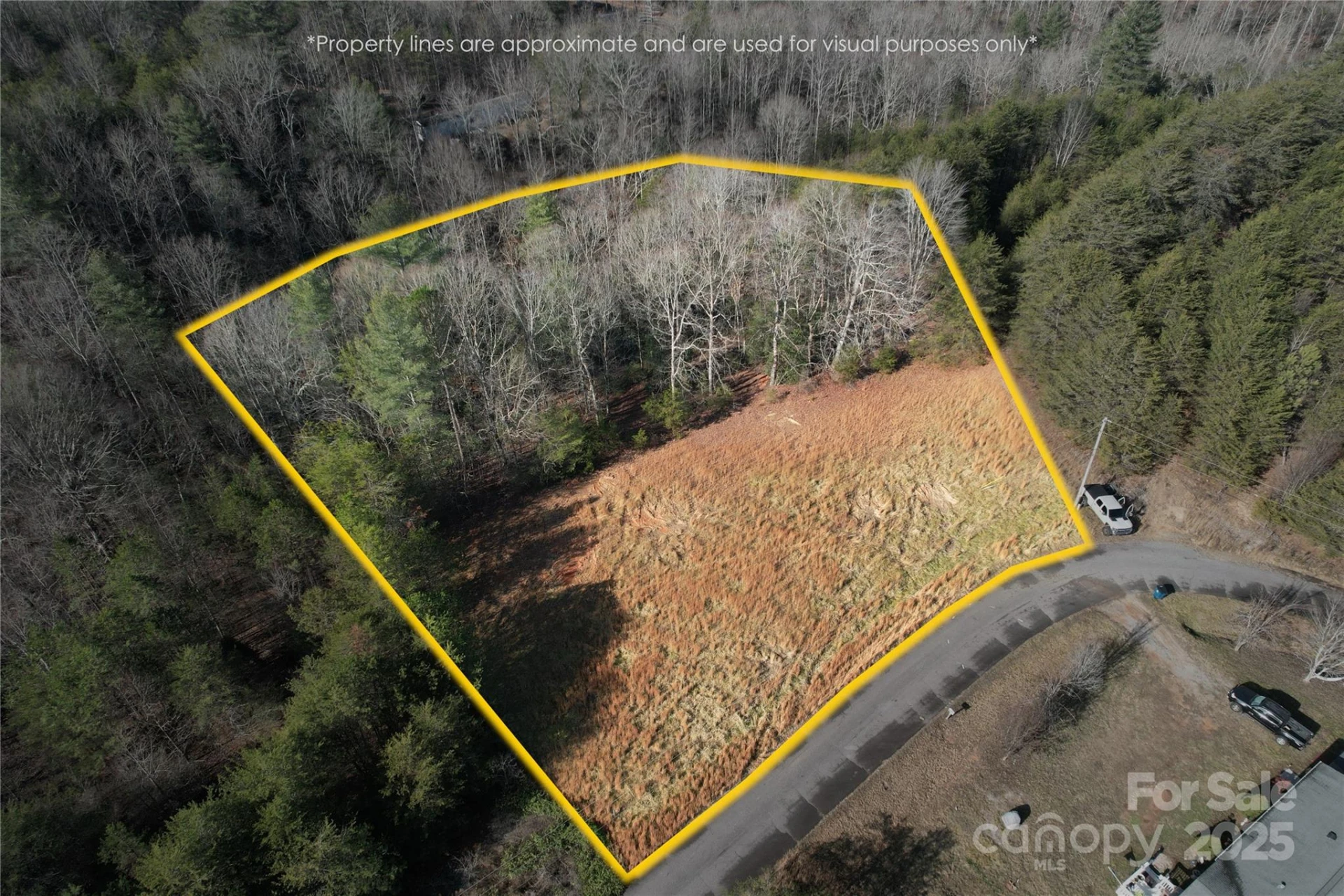 00 Virginia Ridge #57