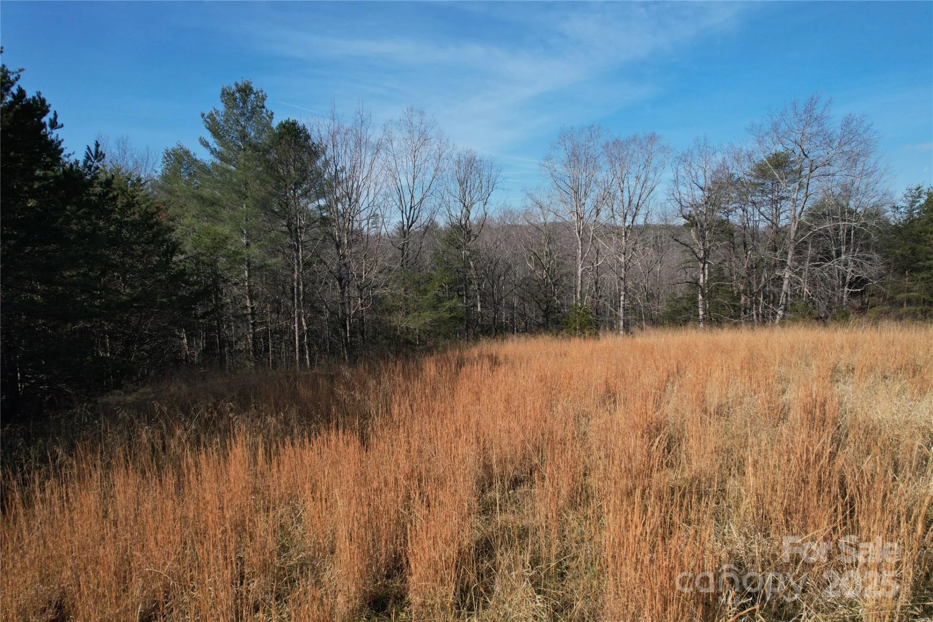 00 Virginia Ridge #57 - Photo 2