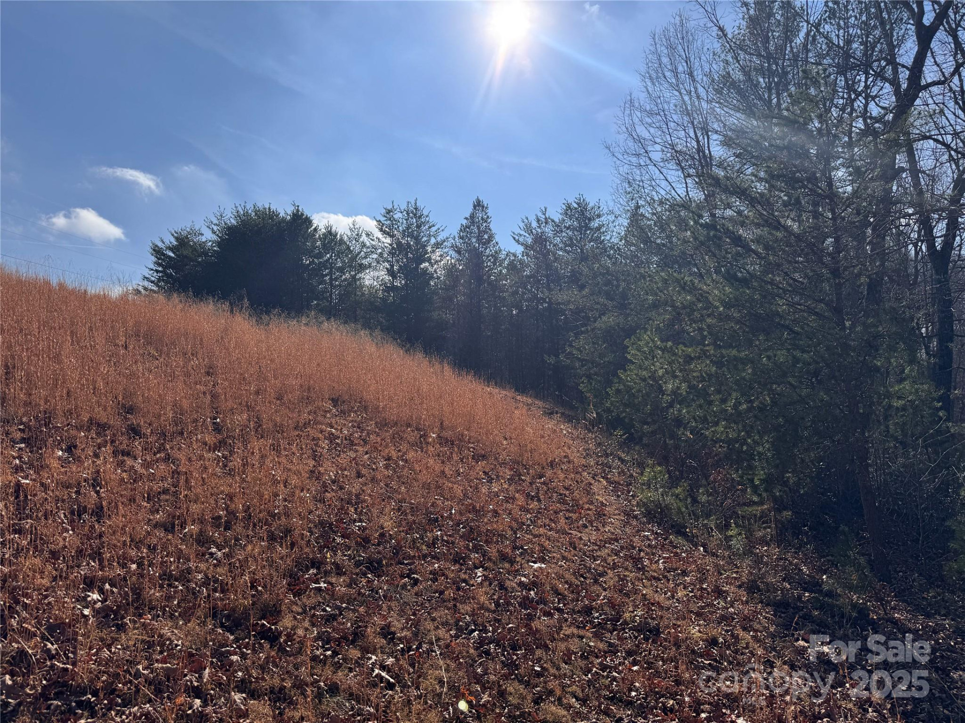00 Virginia Ridge #57 - Photo 11