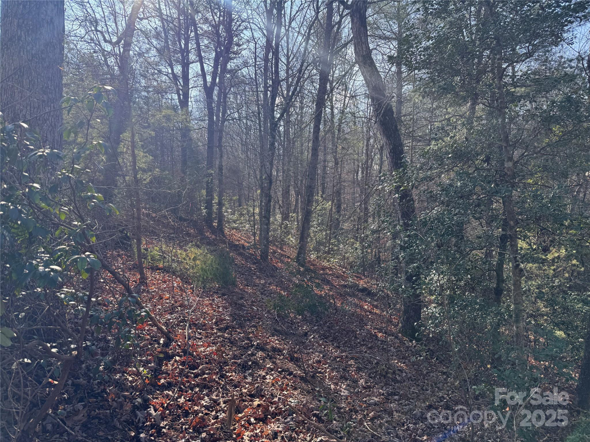 00 Virginia Ridge #57 - Photo 12