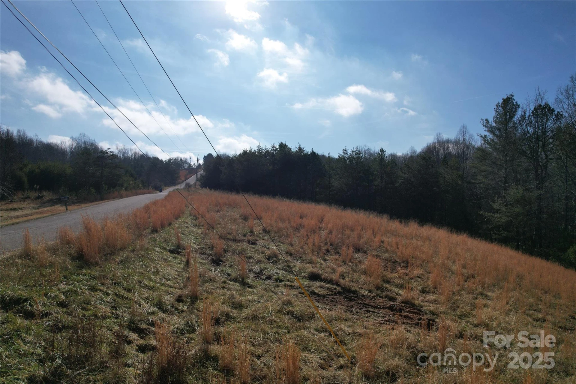 00 Virginia Ridge #57 - Photo 3