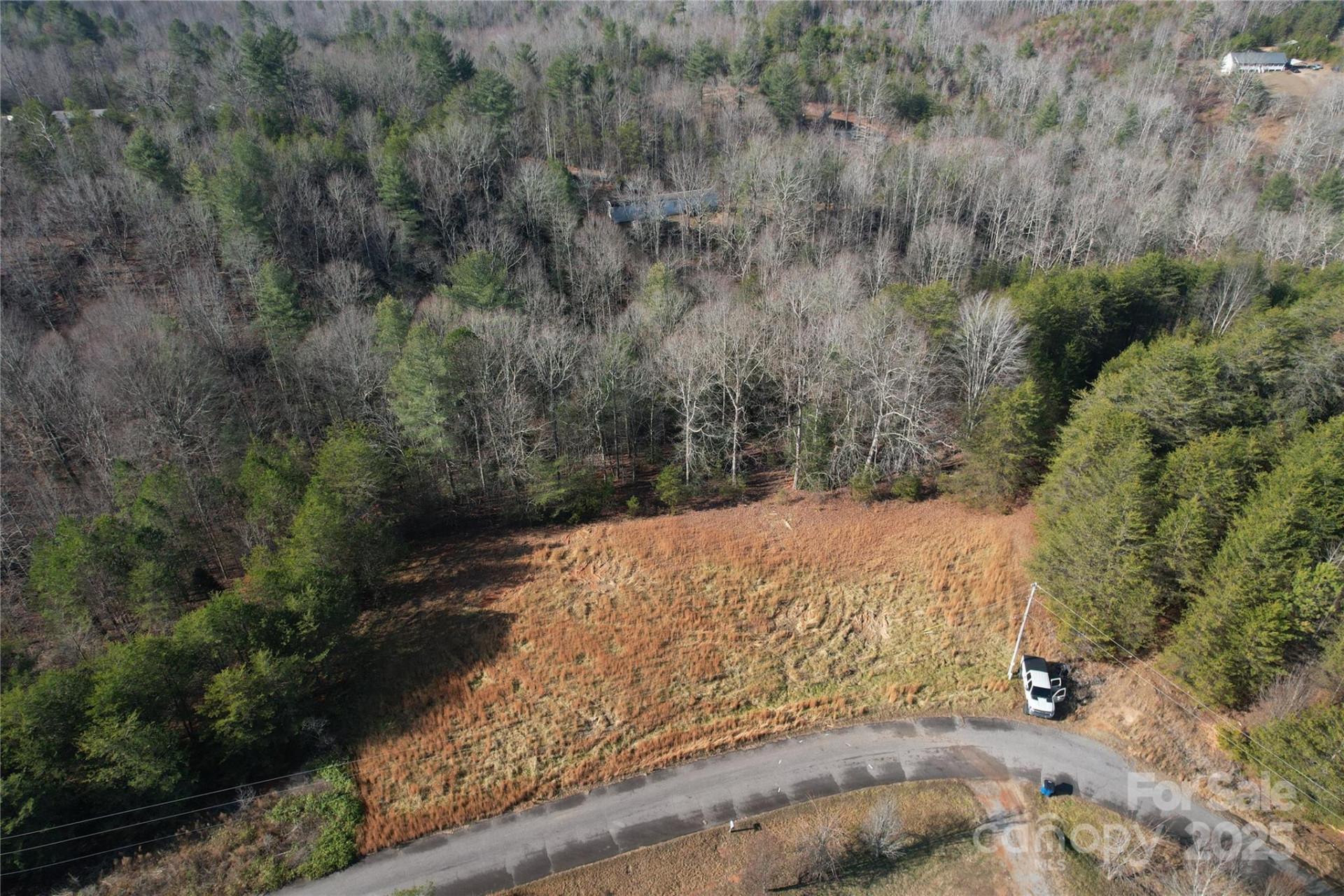 00 Virginia Ridge #57 - Photo 4