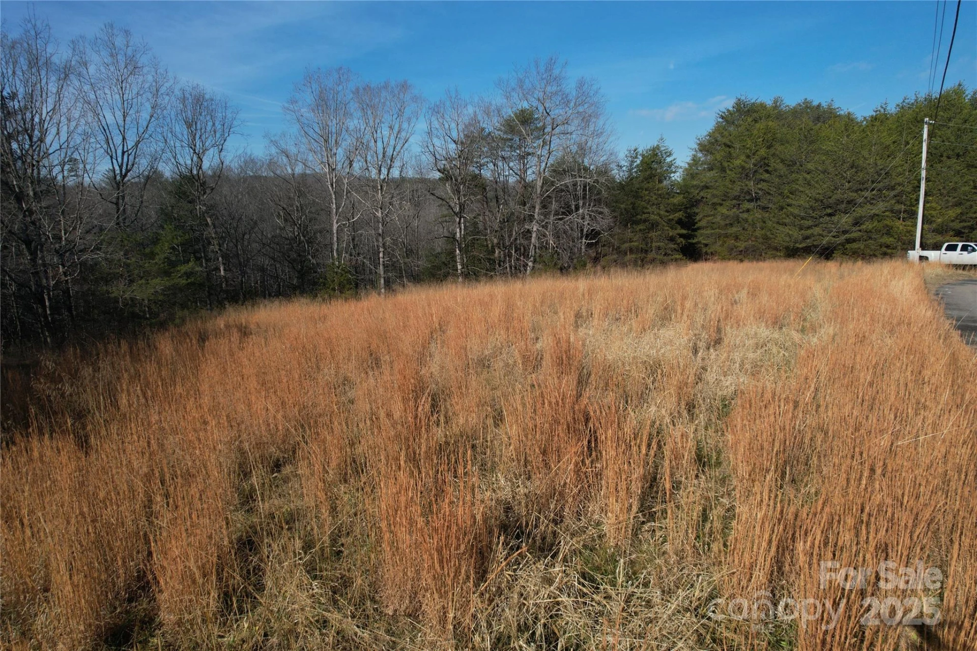 00 Virginia Ridge #57 - Photo 6