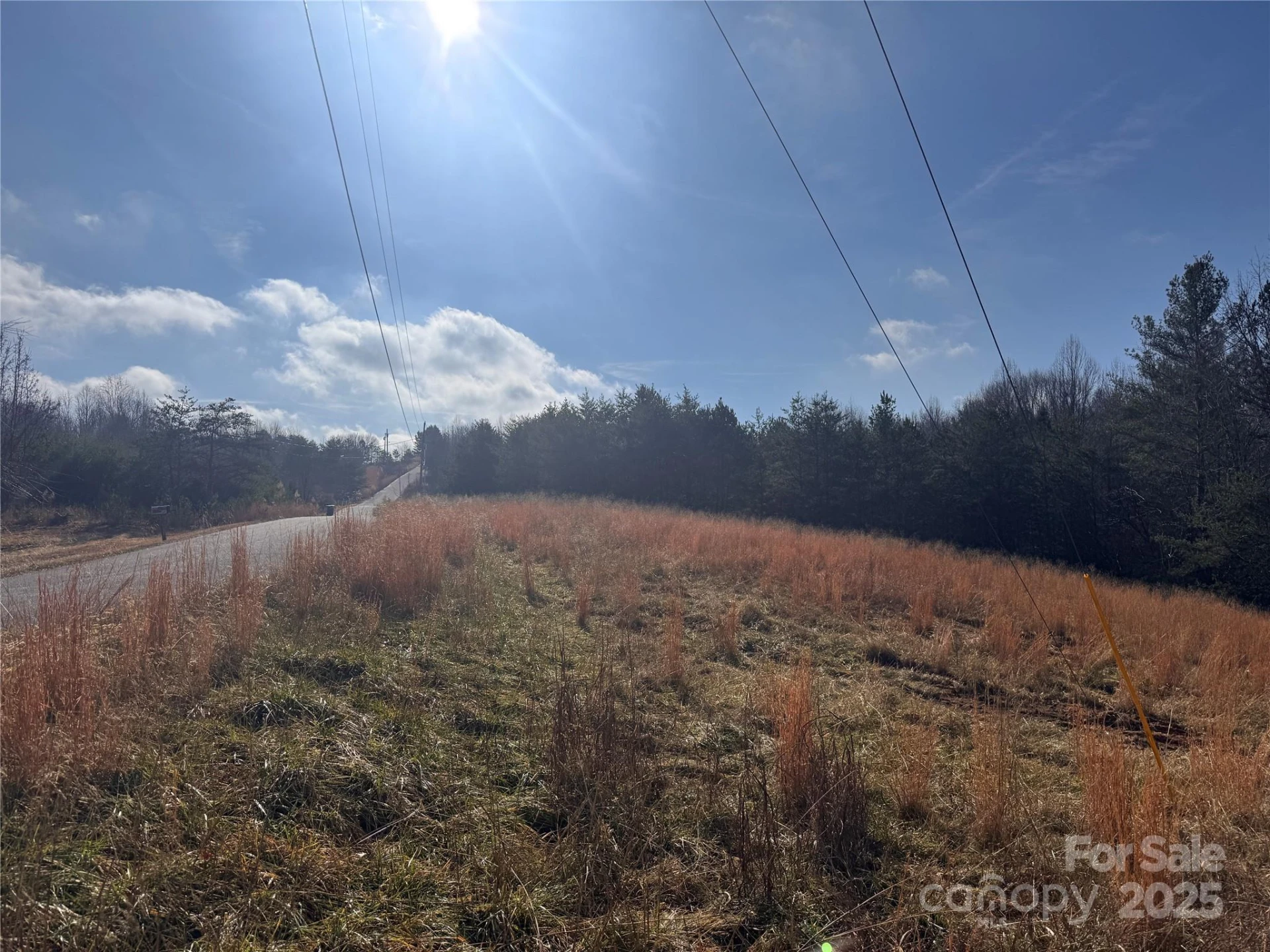 00 Virginia Ridge #57 - Photo 7