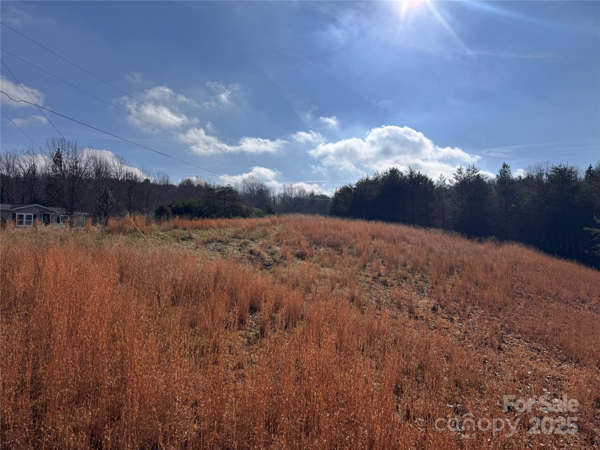 00 Virginia Ridge #57 - Photo 8