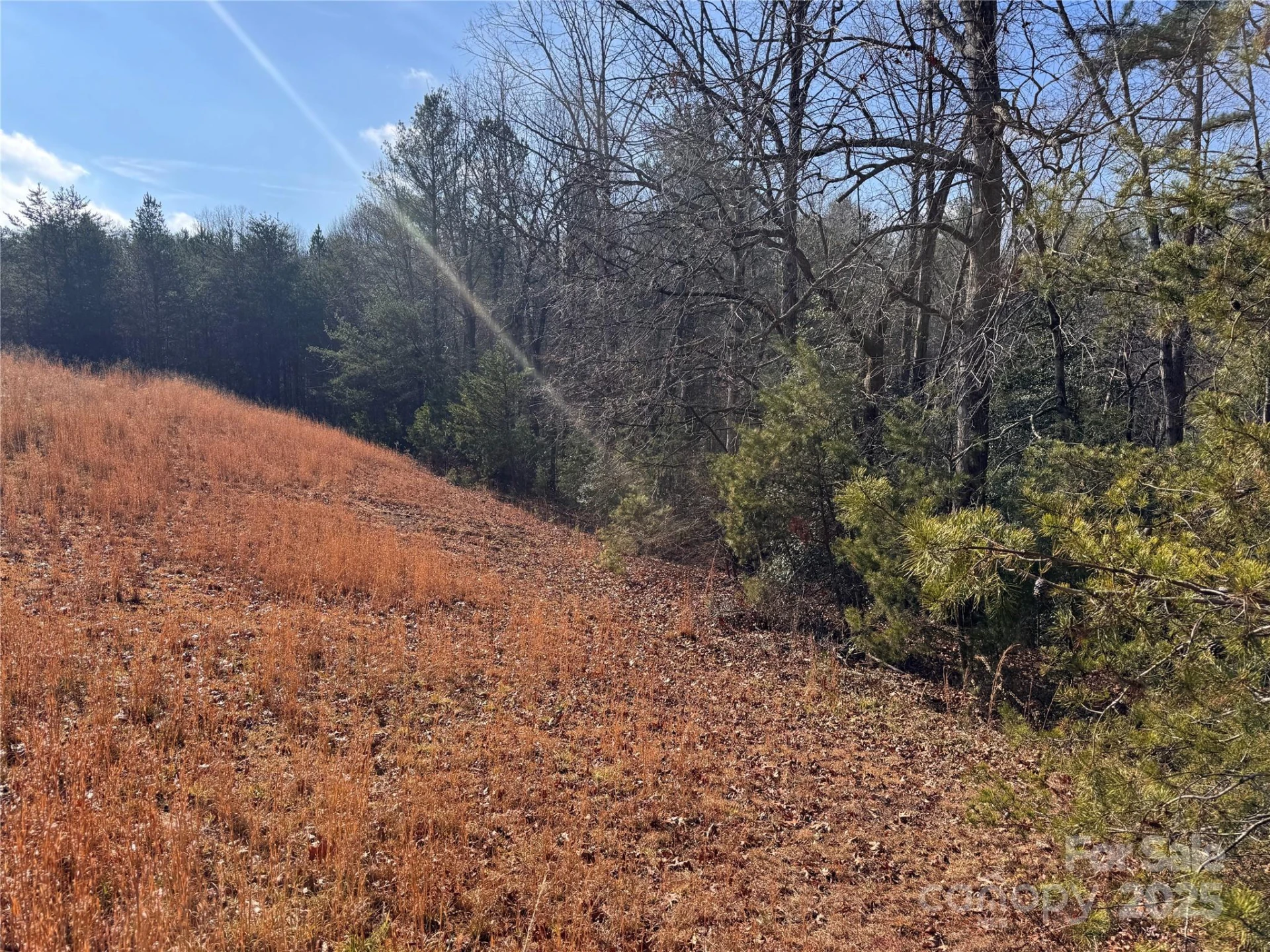 00 Virginia Ridge #57 - Photo 9