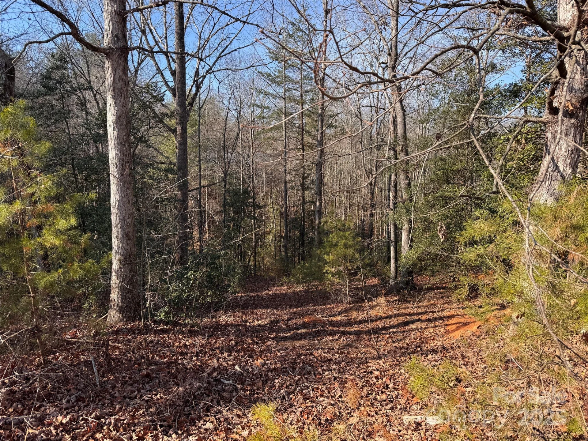 00 Virginia Ridge #57 - Photo 10