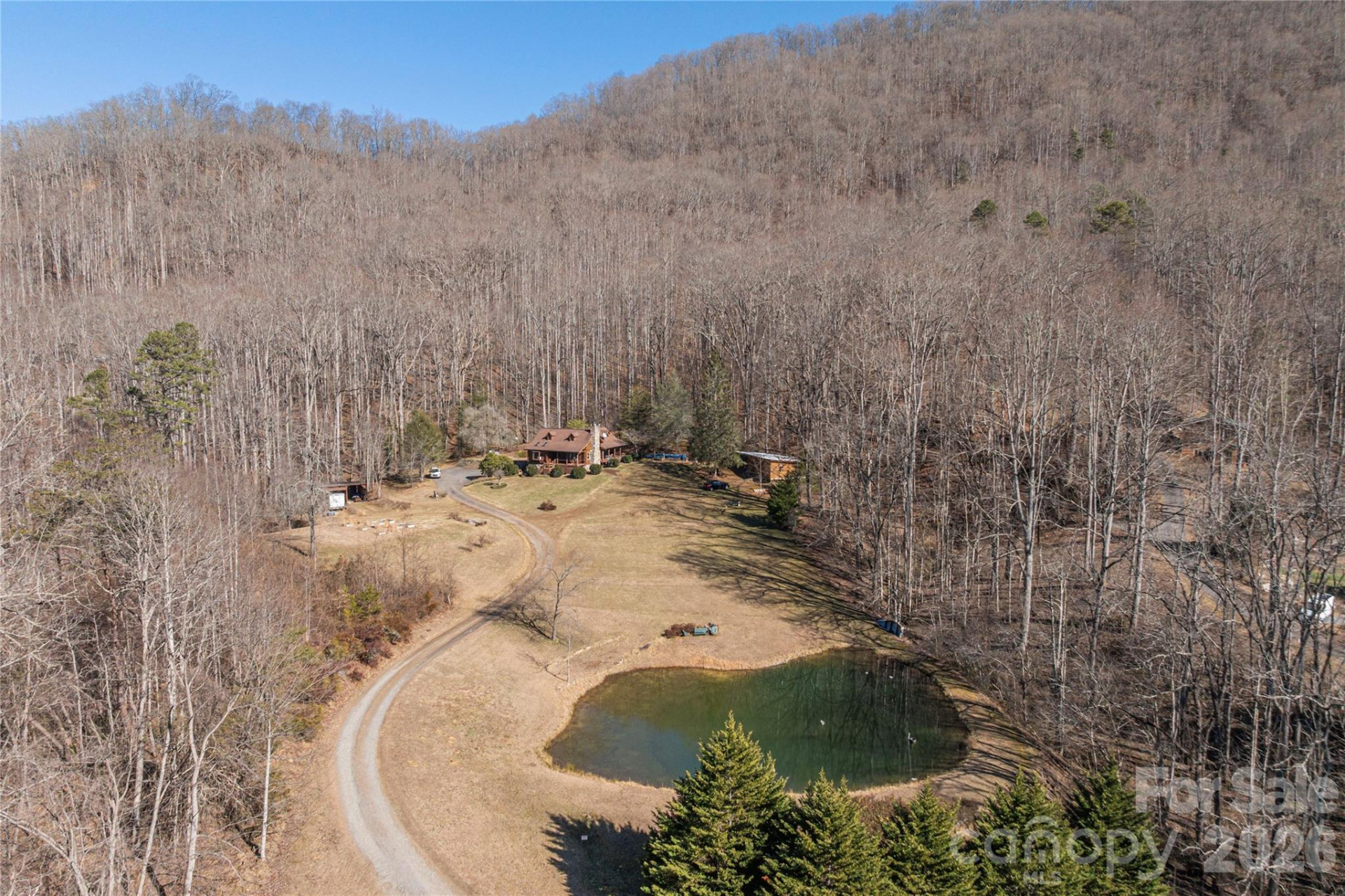393 Carver Mountain Valley - Photo 2