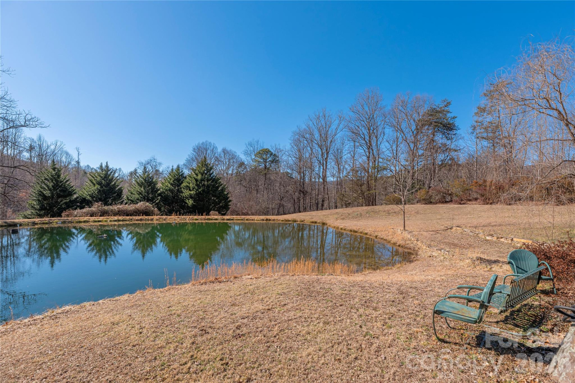 393 Carver Mountain Valley - Photo 4