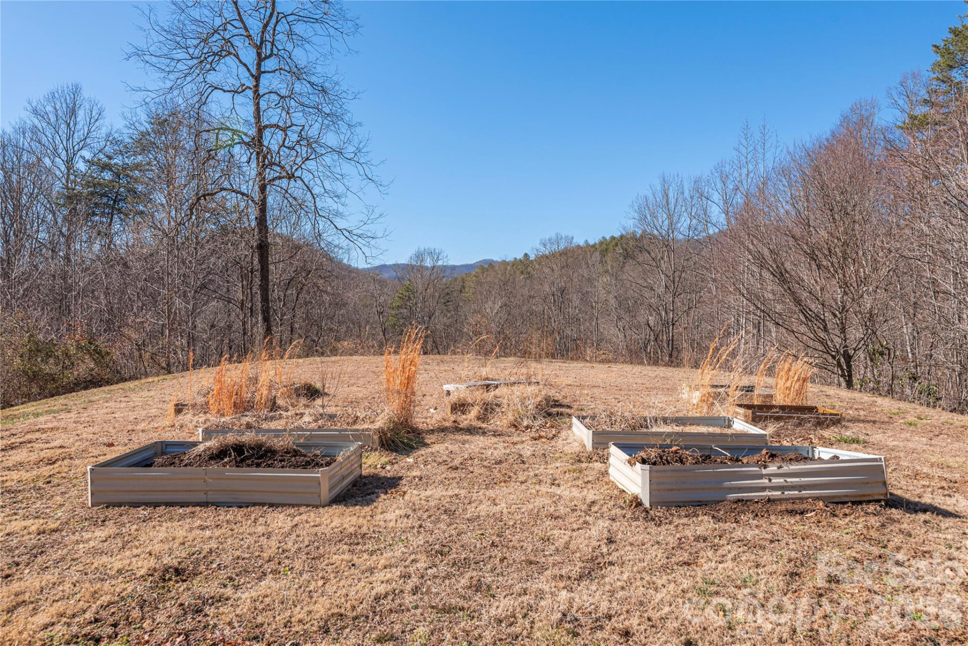 393 Carver Mountain Valley - Photo 34