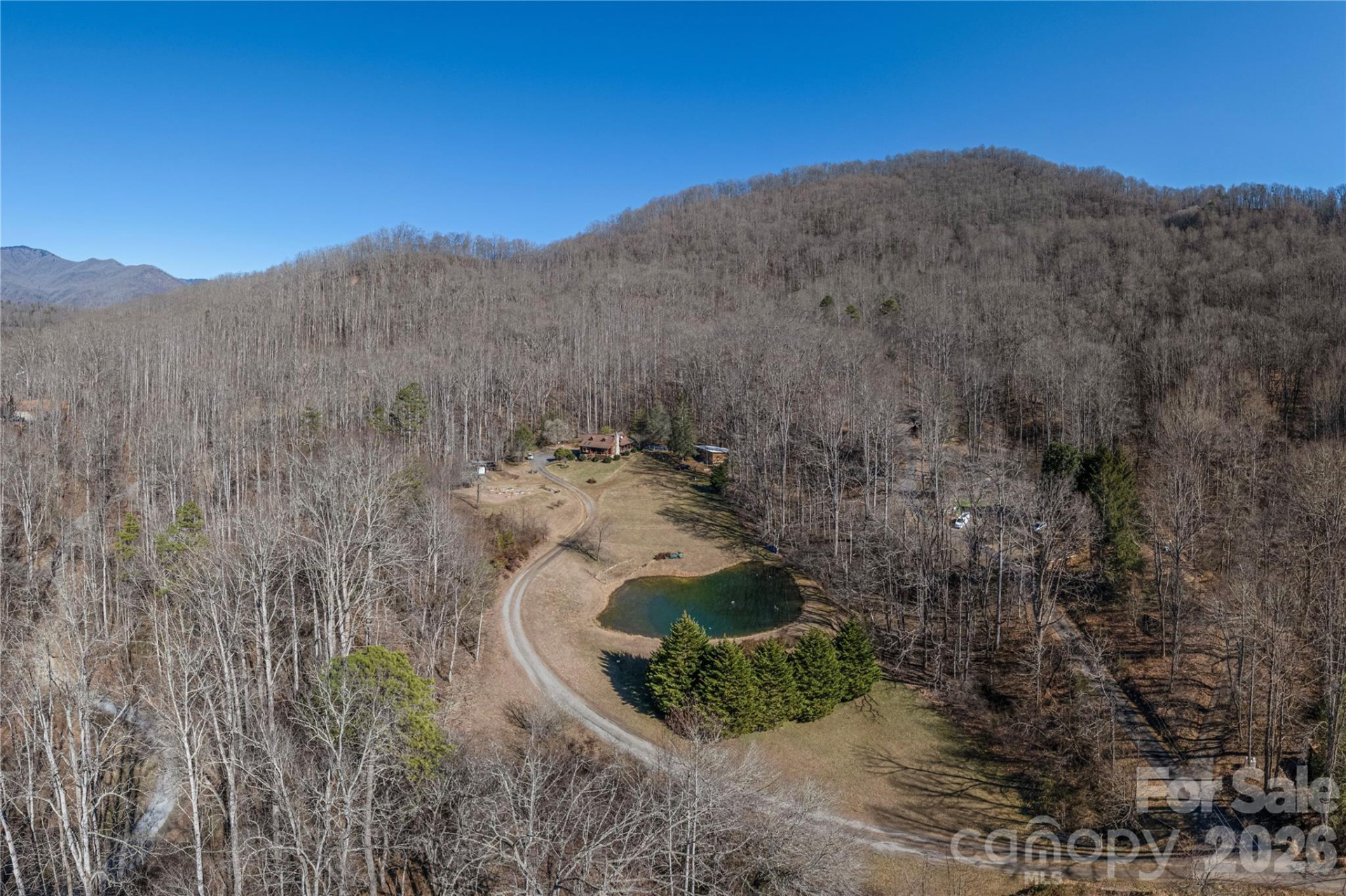393 Carver Mountain Valley - Photo 39