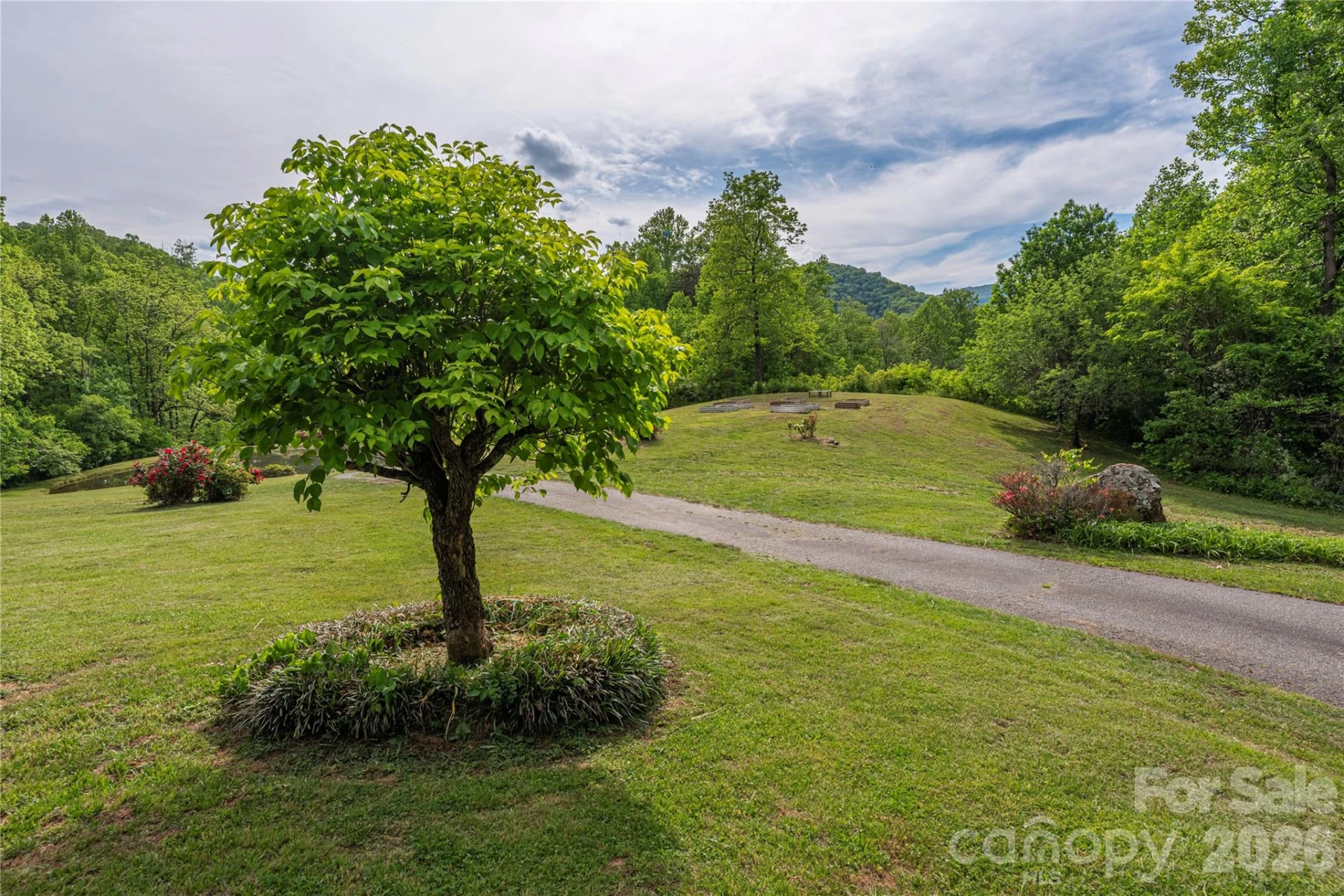 393 Carver Mountain Valley - Photo 41