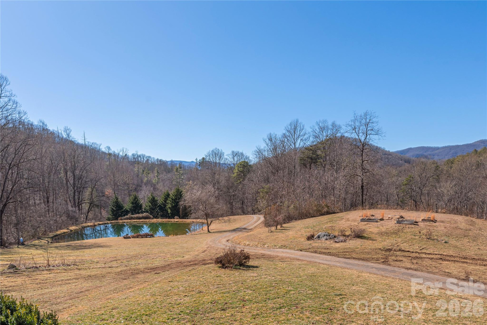 393 Carver Mountain Valley - Photo 10