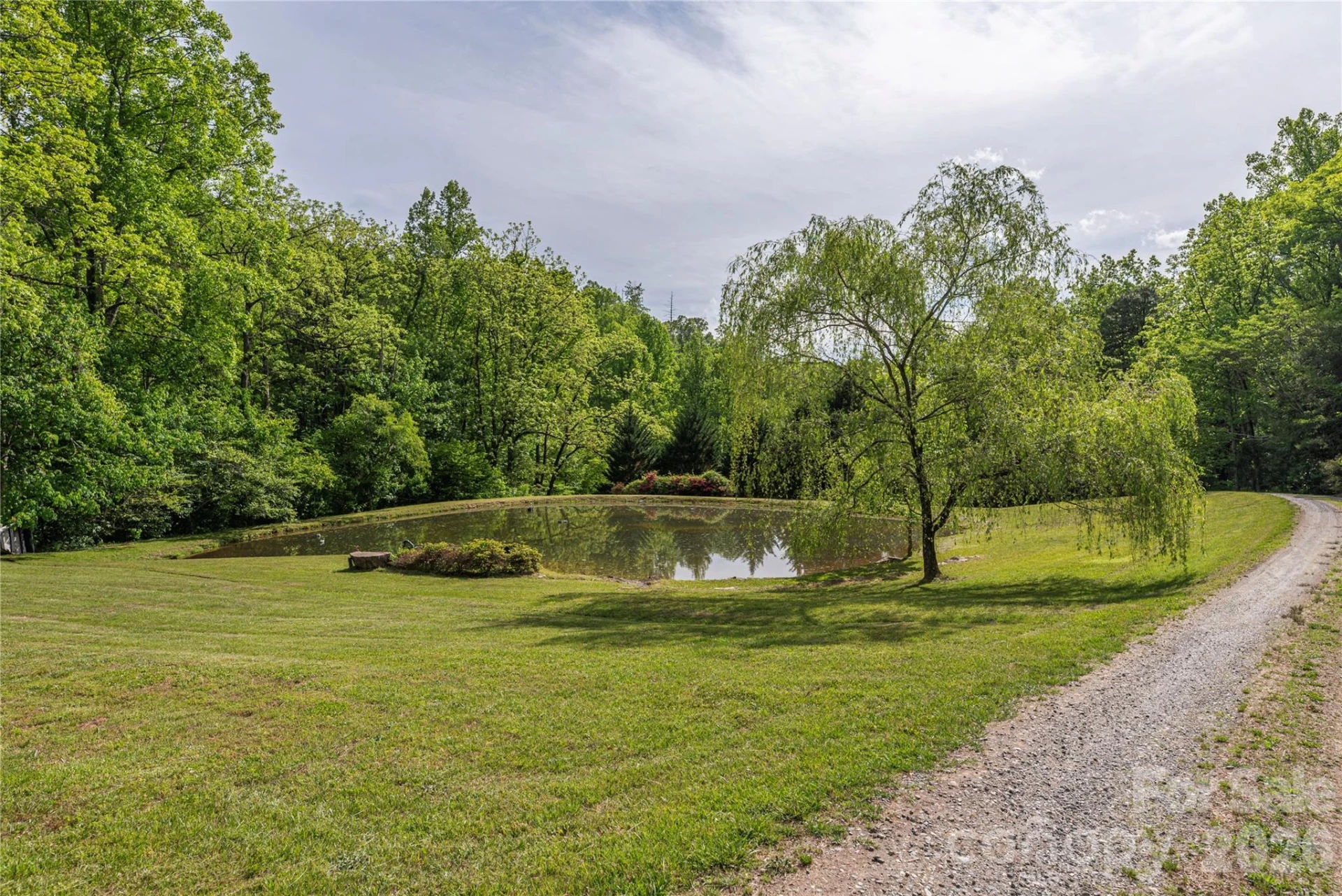 393 Carver Mountain Valley - Photo 11