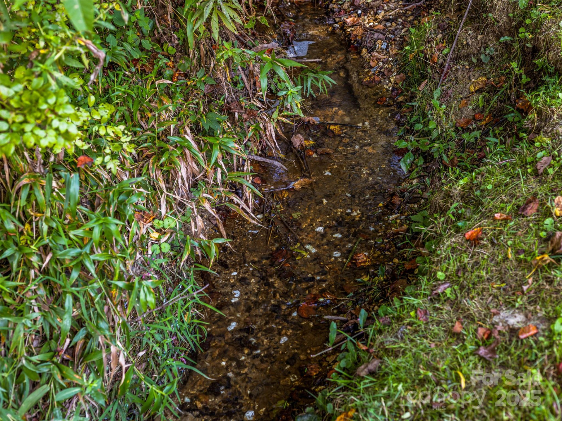 10 Warbler Drive - Photo 47