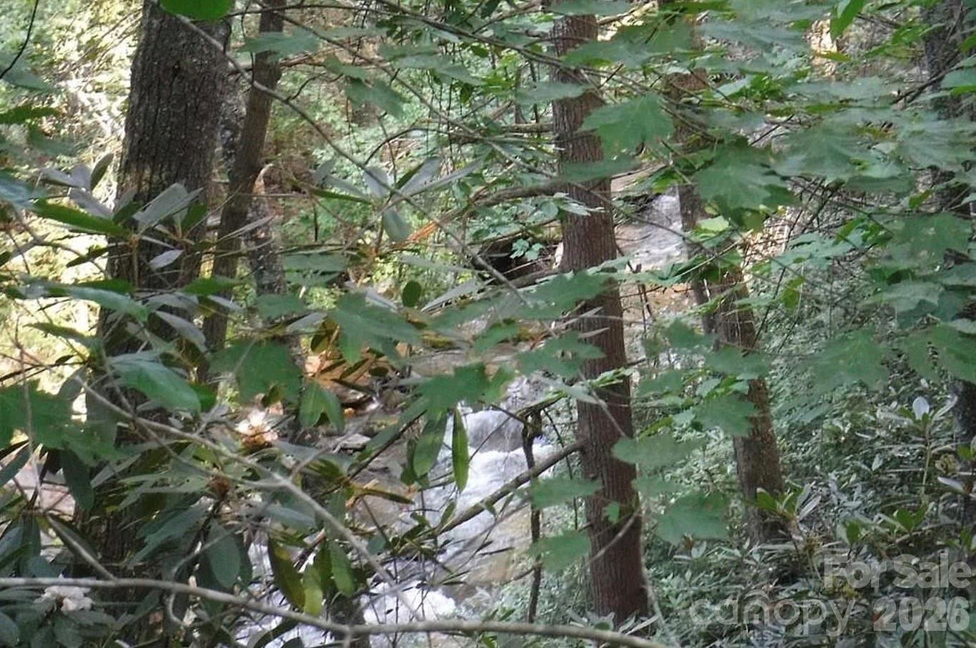 Lot 19 Ostin Creek Trail #19 - Photo 21