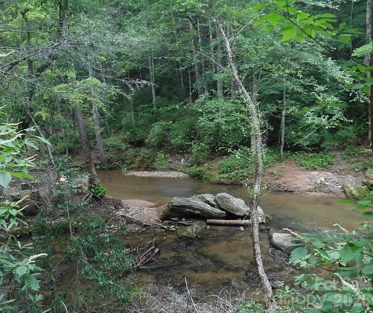 Lot 19 Ostin Creek Trail #19 - Photo 22