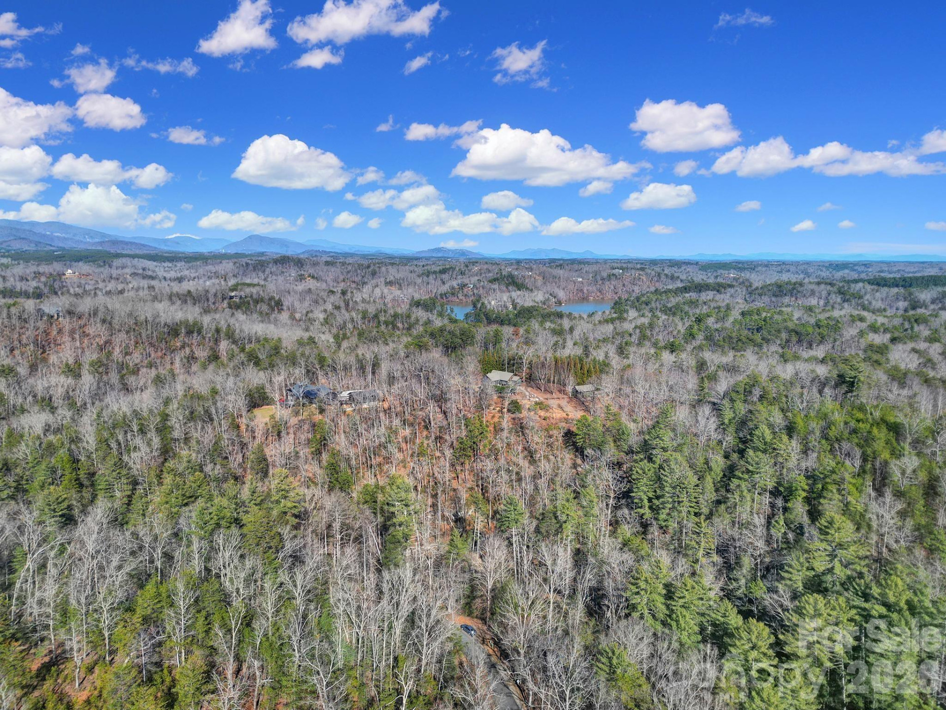 Lot 19 Ostin Creek Trail #19 - Photo 6